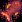 how-to-hook-the-elusive-crimsonfish-in-stardew-valley-a-2026-angler-s-guide-image-3